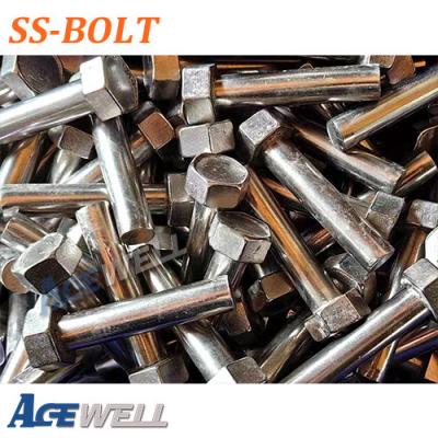 Stainless Steel Bolt